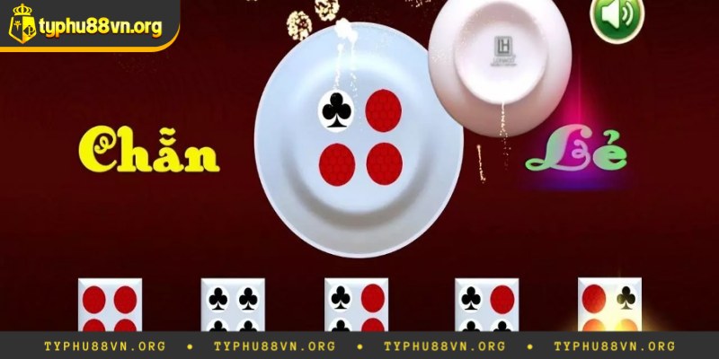 Cách tính xác suất chẵn lẻ trong xóc đĩa hiệu quả