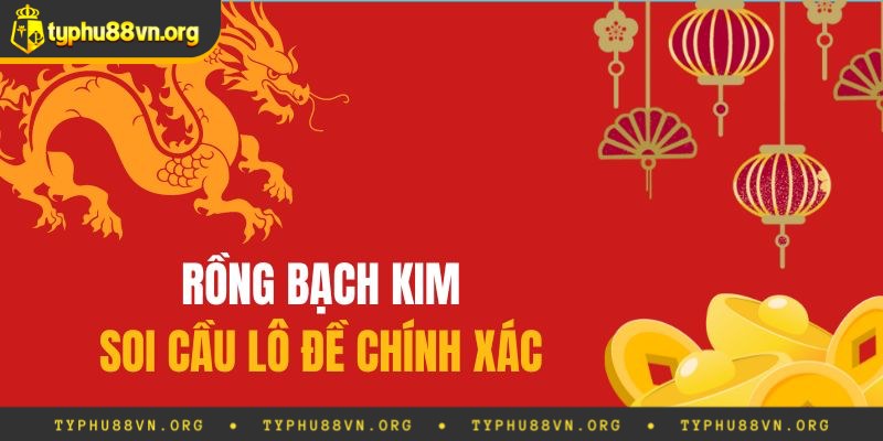 Giới thiệu thông tin về soi cầu Rồng Bạch Kim