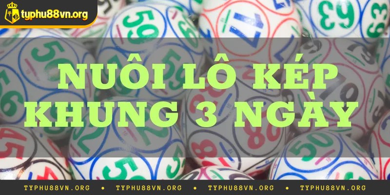Nuôi cặp lô kép khung 3 ngày siêu chuẩn dựa vào đuôi câm