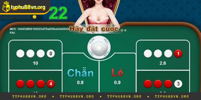 Tính xác suất chẵn lẻ trong xóc đĩa là gì?