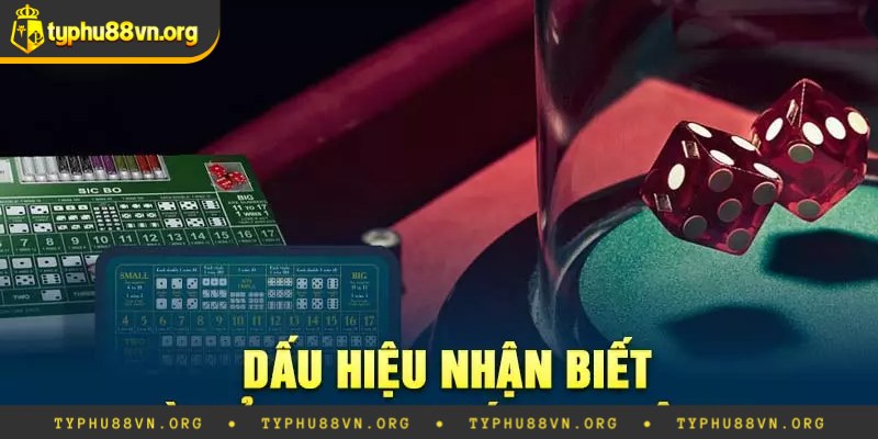Đặc điểm nhận dạng của tài xỉu bịp không tang