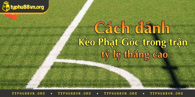 Hướng dẫn cách soi và đọc các loại kèo góc hiện nay