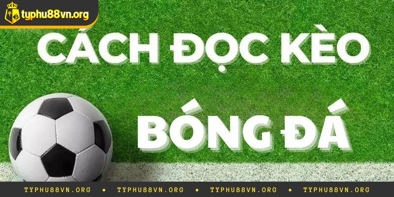 Kinh nghiệm cần biết khi chơi tỷ lệ cược Indonesia