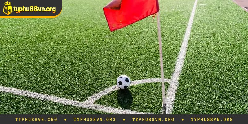 Kinh nghiệm soi kèo phạt góc từ cao thủ Typhu88