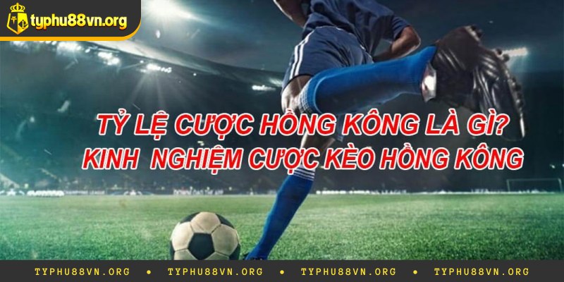 Tỷ Lệ Kèo Hong Kong Là Gì? Cách Soi Kèo Hong Kong Chuẩn