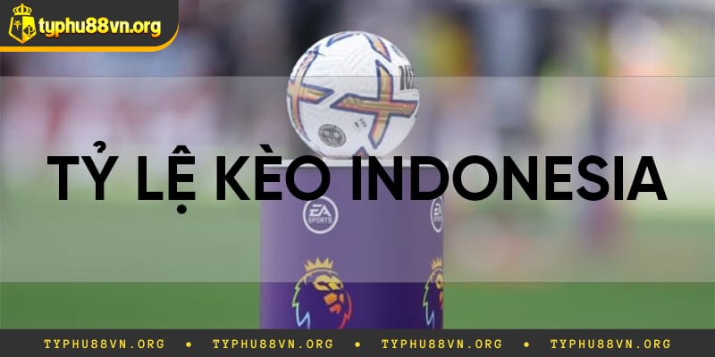 Tỷ Lệ Kèo Indonesia Là Gì? Cách Đặt Cược Kèo Luôn Thắng